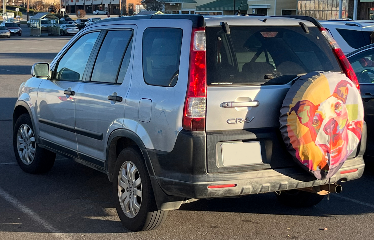 2018 Honda CR-V EX-L — photo 4